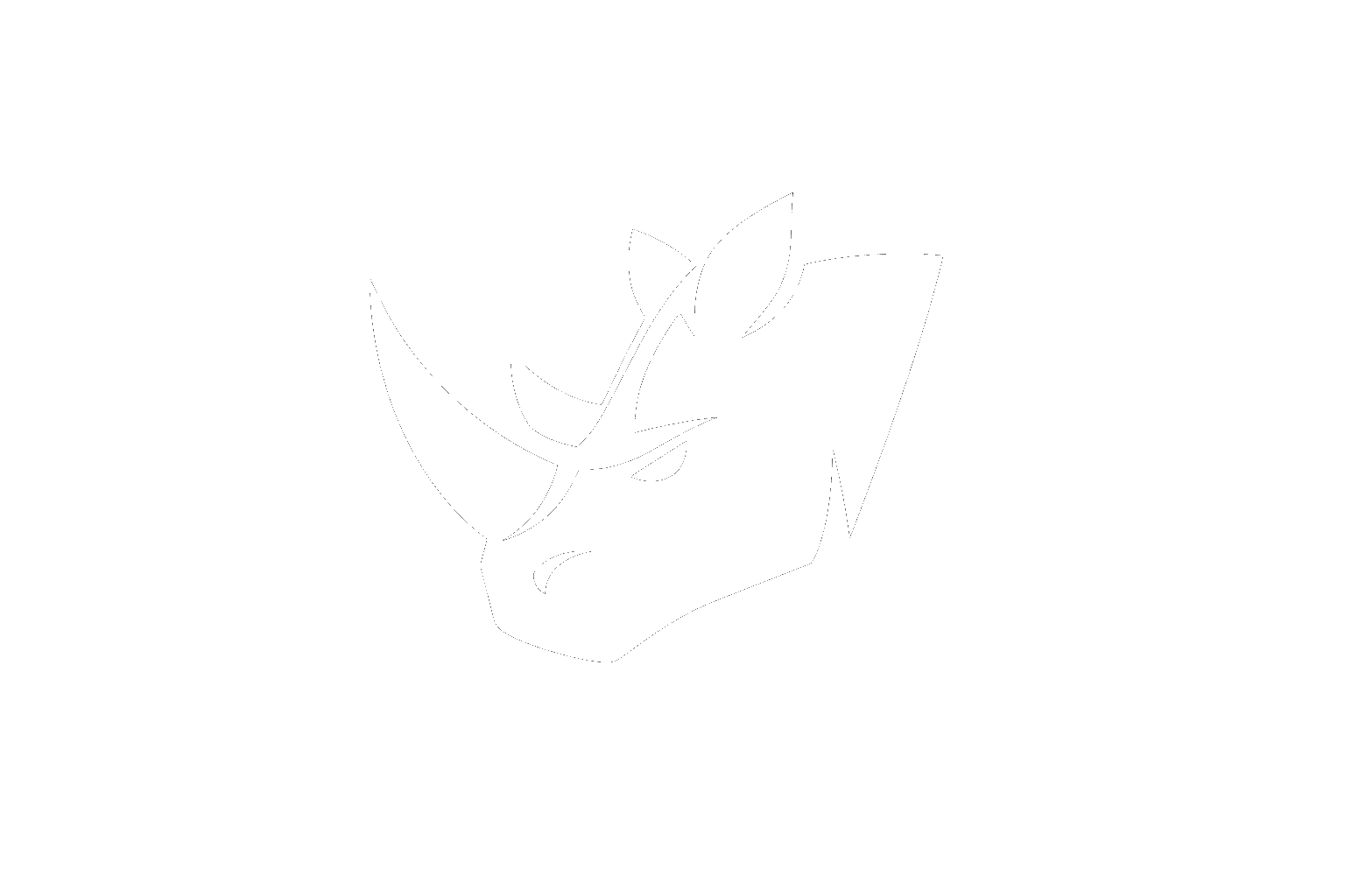 RhinoGym Logo